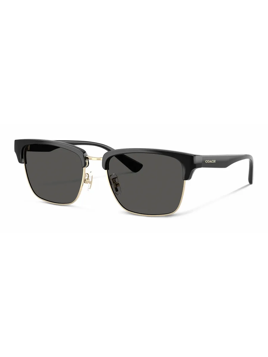 Black Sunglasses, front view